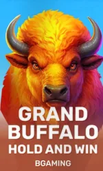 Grand Buffalo Hold and Win